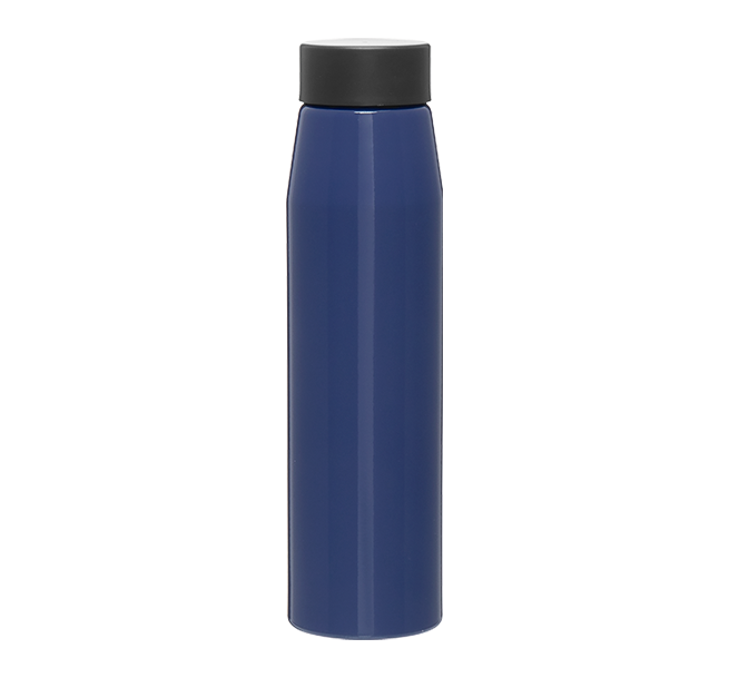 H2Go Chroma Water Bottle